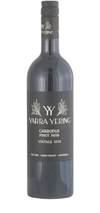 Yarra Yering Carrodus Pinot Noir 2021