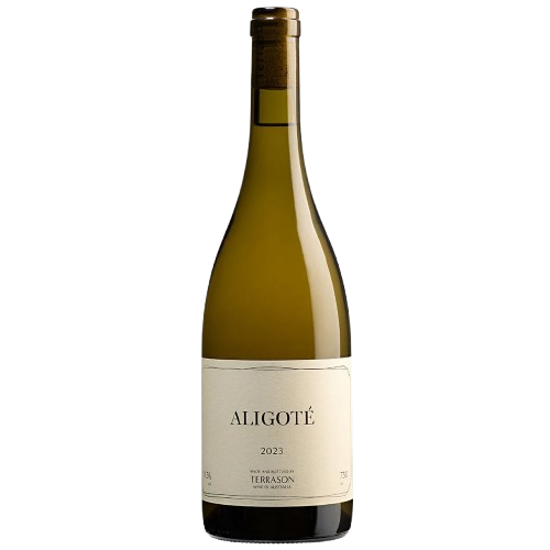 Terrason Aligote 2024