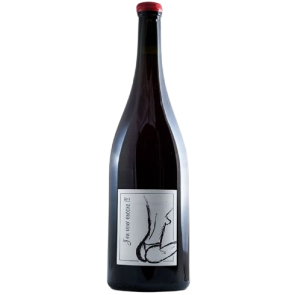 A and Jf Ganevat Vdf J'en Veux Encore 2021 Magnum
