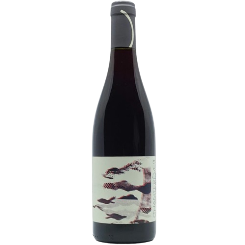 Chantereves Savigny Les Beaune Dessus De Montchenevoy 2022