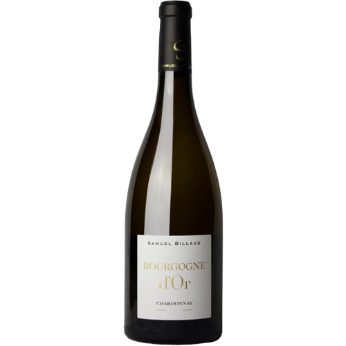Samuel Billaud Bourgogne D'or 2022