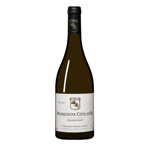 Domaine Fabien Coche Bourgogne Blanc Cote d'Or 2022