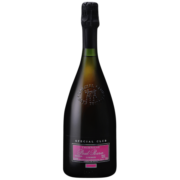 Paul Bara Special Club Rose 2014