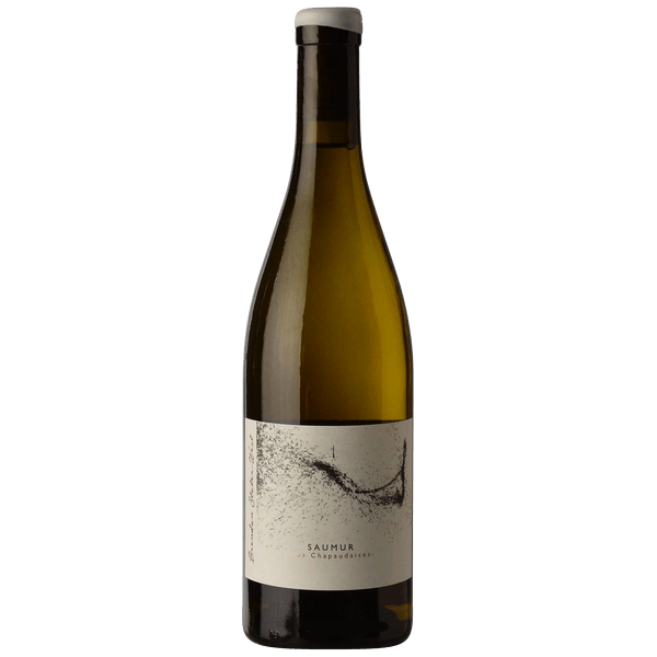 Brendan Stater-west Saumur Les Chapaudaises 2019