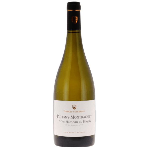 Thomas Collardot Puligny 1Er Hameau De Blagny 2020